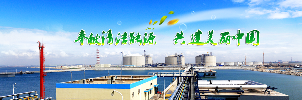 奉献清洁能源 共建美丽中国